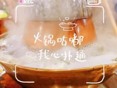-鑫龙火锅城(阳光新路店)
