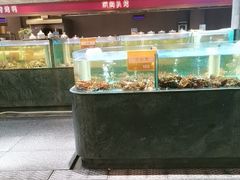 -国惠大酒楼(仓山万达店)