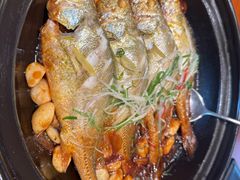 八分钟砂锅焗黄鱼-有喜胶东小馆(太申祥和店)