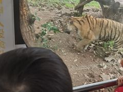 -西安秦岭野生动物园