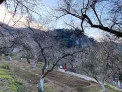 -广州市石门国家森林公园
