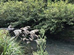 -石台牯牛降景区