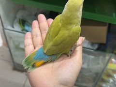 -三旗百汇商品城