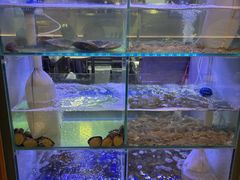-皮蛋弟砂锅店(总店)
