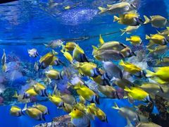 -海合安成都极地海洋公园