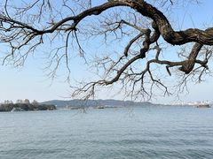 -浙江西子宾馆·牡丹厅