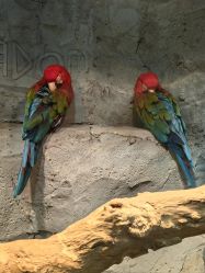 -Zoolung Zoolung动物主题公园(海信广场店)