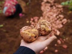 -兰剑驾校(汉阳校区)