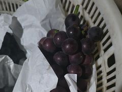 -马陆小张葡萄园农家乐