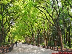 -共青国家森林公园-售票处