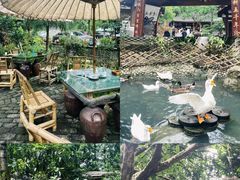 -青城甲(青城山店)