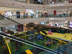 -万达宝贝王(上海浦江店)