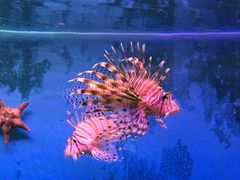 -泉州海丝野生动物世界