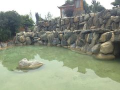 -大理地热国