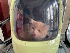 -安安宠医·安宠宠物医院