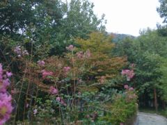 android_upload_pic-金隅凤山酒店