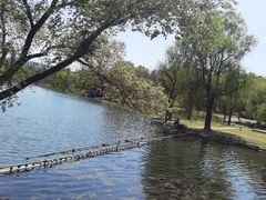 -承德避暑山庄景区