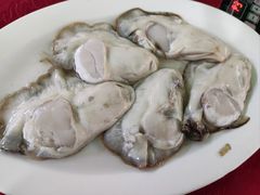 -花苑美食横琴生蚝火锅(拱北粤华路店)