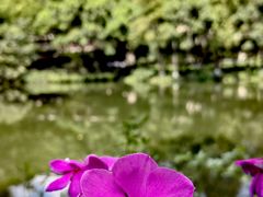 -杭州花家山庄