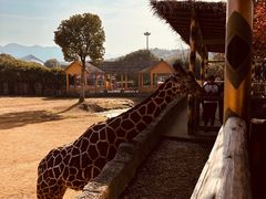 -杭州野生动物世界