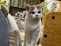 -小时光咖啡馆(北锣鼓巷店)