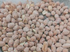 -周记老沈阳焦火鸡架