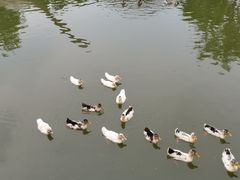 -上海海湾国家森林公园