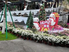 -盈香心动乐园