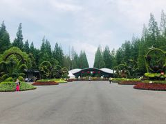 -东平国家森林公园