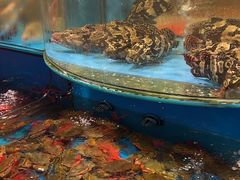 -谊荣海鲜大牌档(石湖店)