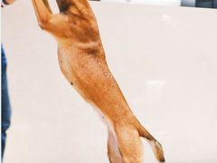 -富邦华一银行(新天地支行)