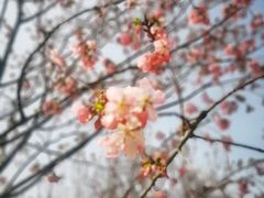 -凤凰沟景区