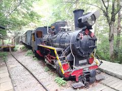 -五营红松林海景区