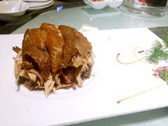 樊家卤鸡-阿五黄河大鲤鱼(纬三路店)