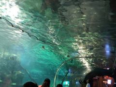 -锦艺城海洋馆