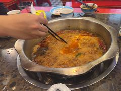 -金鼎雪山牦牛杂火锅(理县总店)