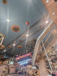 -卡通尼·Safari非洲探索乐园·生日会(金桥国际商业广场店)