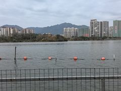 -飞来湖湿地公园
