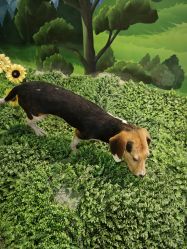 -酷嗒动物文化乐园(cutezoo西溪乐天城店)