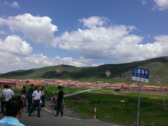 -张北坝上草原