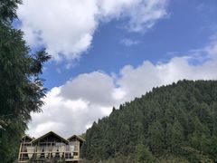 -武陵山森林公园