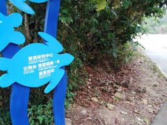 -广东惠东海龟国家级自然保护区