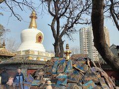 -护国法轮寺