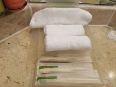 -新加坡雅庭假日酒店