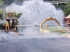 -西双版纳原始森林公园