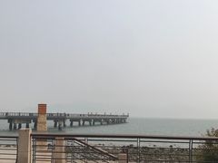 -深圳湾公园(南山区)