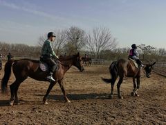 -月河湾马术俱乐部(朝阳店)