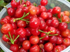 -樱桃山旅游景区