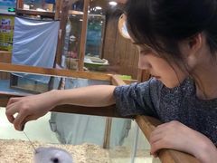 -龟与熊猫宠物公园(南坪店)