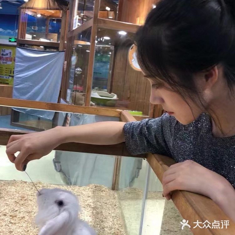 想要带回家的小可爱们！[鬼脸]